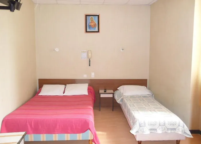 酒店 Le Milan 卢德